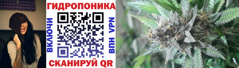 Какие есть наркотики Емва А ПВП  АМФЕТАМИН  Каннабис  Кокаин  мега ССЫЛКА  ГАШ 
