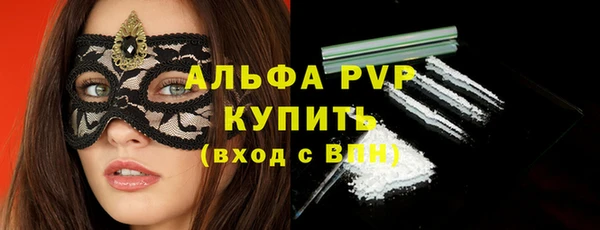 мдпв Вяземский