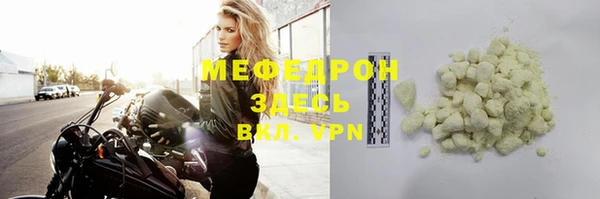 амф Гусев