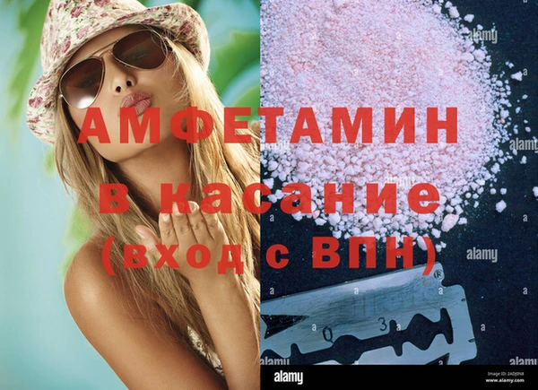 мдпв Вяземский