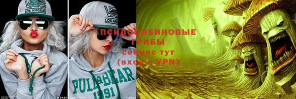 МДМА Горняк