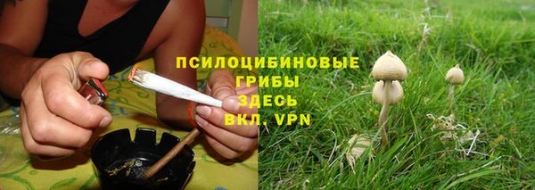 мдпв Вяземский