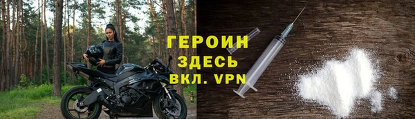 амф Гусев